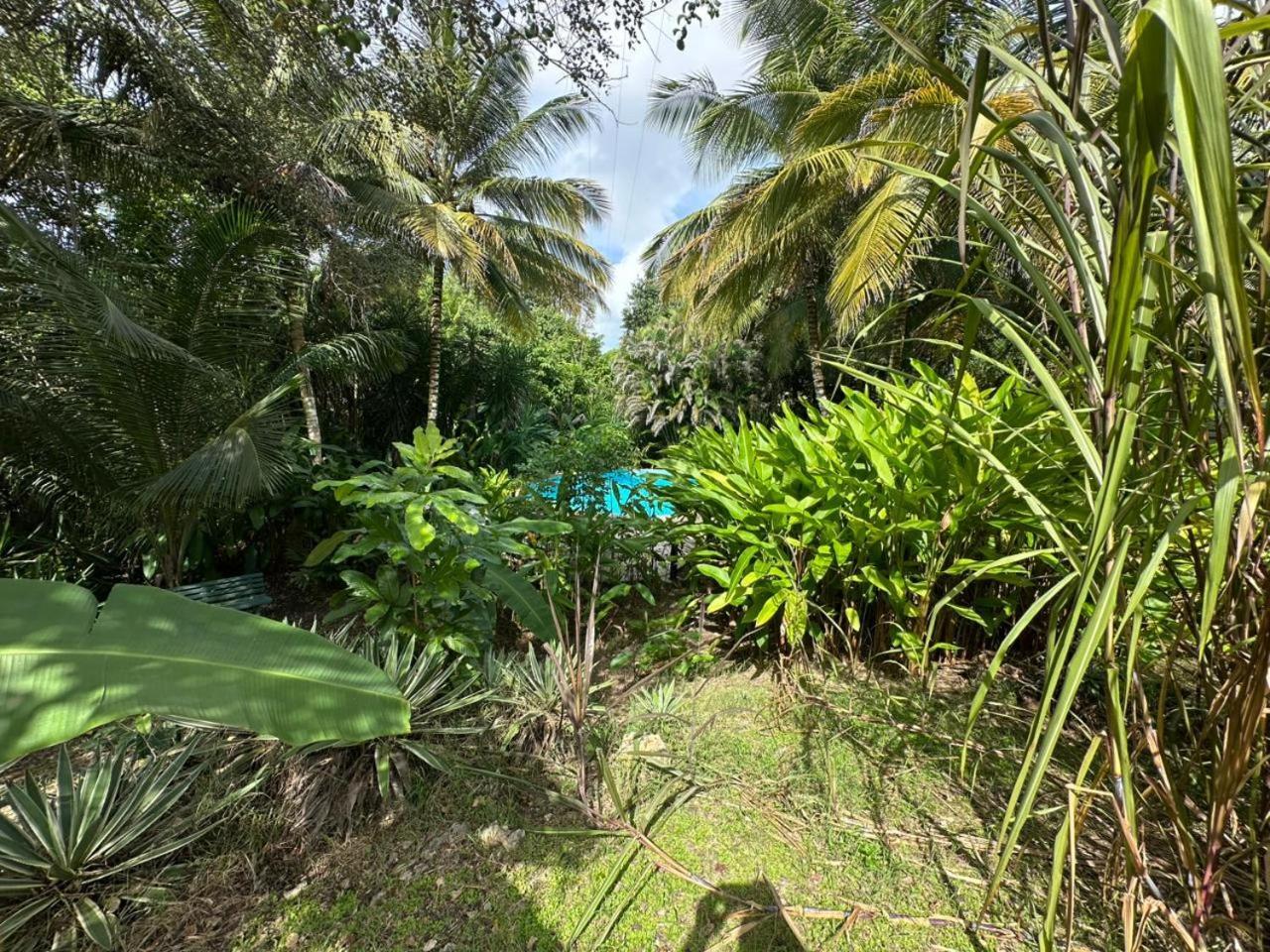 Villa Gwada Reves Sainte-Anne  Exterior foto